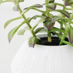 Tree Succulents In Planter 5 Tree Succulents In Planter -Home Decor webimage 207999954 dtl 1