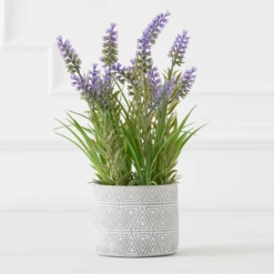 Lavender In Grey Pot
