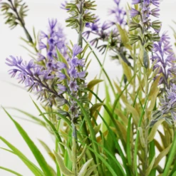 Lavender In Grey Pot 7 Lavender In Grey Pot -Home Decor webimage 207999958 dtl2