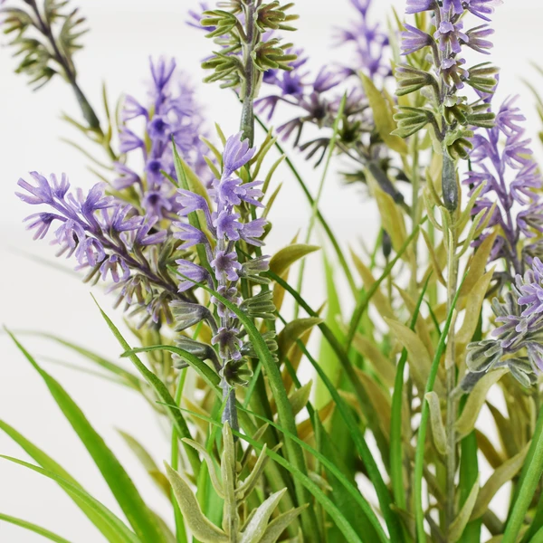 Lavender In Grey Pot 5 Lavender In Grey Pot - Image 3