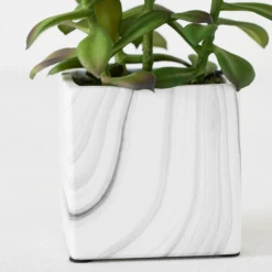 Tree Succulents In Marble Pot -Home Decor webimage 207999966 dtl 1