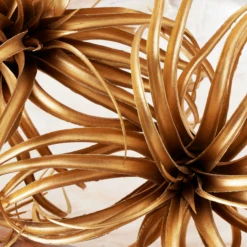 Faux Air Plant -Home Decor webimage 209168339 DTL