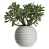 Faux Sedum Succulent Pick - Set Of 3 -Home Decor webimage 209198137 jpg 1