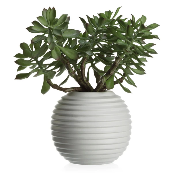 Faux Sedum Succulent Pick - Set Of 3 2 Faux Sedum Succulent Pick - Set Of 3