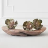 Faux Echeveria Succulent Pick 1 Faux Echeveria Succulent Pick -Home Decor webimage 209200688 1