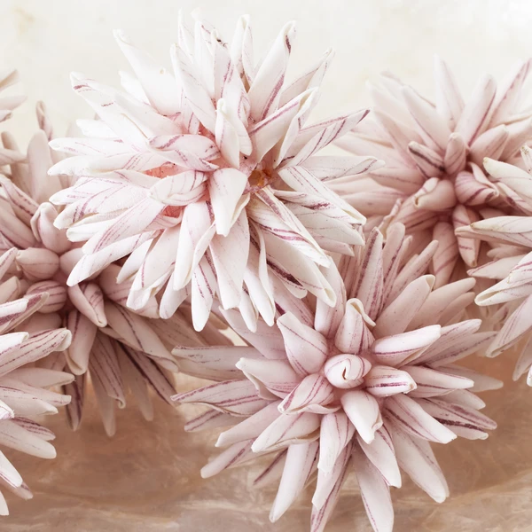 Faux Allium Sphere - Set Of 9 5 Faux Allium Sphere - Set Of 9 - Image 3