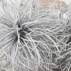 Metallic Sphere -Home Decor webimage 209209486 dtl