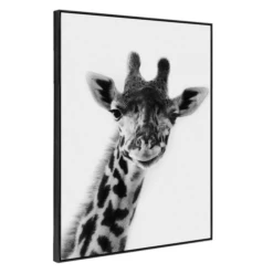 Exotic Animals 4 -Home Decor webimage 630101052 1 jpg