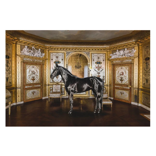 Unusual Couple 3 Unusual Couple