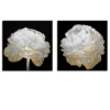 Gold And White Blossom On Black - Set Of 2 -Home Decor webimage 630160015 jpg