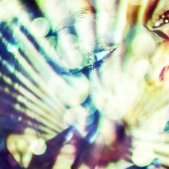 Disco Girl -Home Decor webimage 630189642 630180499 DTL1