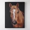 Horse In Town 9 1 Horse In Town 9 -Home Decor webimage 630334368
