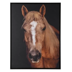 Horse In Town 9 7 Horse In Town 9 -Home Decor webimage 630334368 SIL
