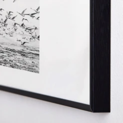 Seagulls Coast -Home Decor webimage 630342225 DTL1 1