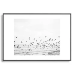 Seagulls Coast -Home Decor webimage 630342225 SIL