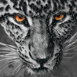 Leopard Spots -Home Decor webimage 630371298 630311422 630301417 DTL1