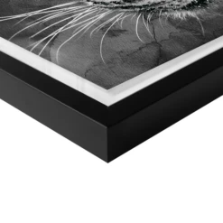 Leopard Spots -Home Decor webimage 630371298 630311422 630301417 DTL2