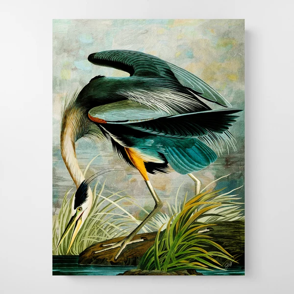 Curiosities 8 3 Curiosities 8