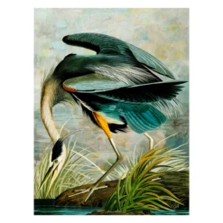 Curiosities 8 7 Curiosities 8 -Home Decor webimage 630386556 SIL