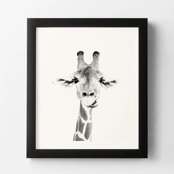 Happy Giraffe 3 Happy Giraffe