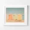Beach Nuts 2 -Home Decor webimage 630614239 1