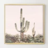 Pastel Pink Cactus 2 Pastel Pink Cactus -Home Decor webimage 630620454 1