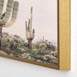 Pastel Pink Cactus -Home Decor webimage 630620454 DTL1 1