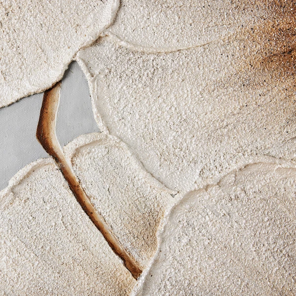 Elegance Blooms II 7 Elegance Blooms II - Image 5