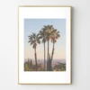 La Palms -Home Decor webimage 630681809 1