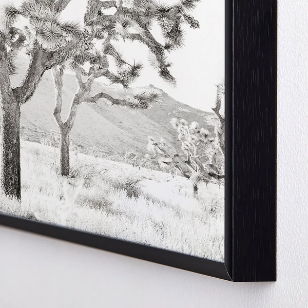 Joshua Tree Bliss 4 Joshua Tree Bliss - Image 2