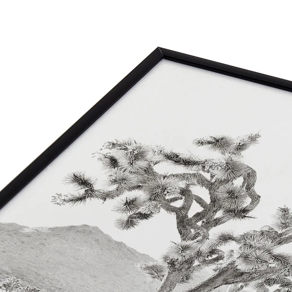 Joshua Tree Bliss 5 Joshua Tree Bliss - Image 3