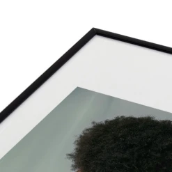 Venus 2 -Home Decor webimage 630727209 DTL2