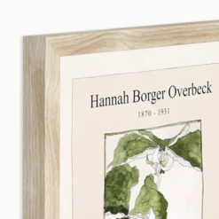 Overbeck Trillium Erectum 7 Overbeck Trillium Erectum -Home Decor webimage 630820764 alt2