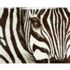 Zebra - Glass Coat -Home Decor webimage 750394306 jpg