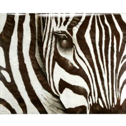 Zebra - Glass Coat