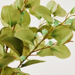 Eucalyptus Spray - Set Of 3 -Home Decor webimage 999172481 dtl