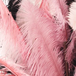 Ostrich Spray - Set Of 3 14 Ostrich Spray - Set Of 3 -Home Decor webimage 999206273 999203485 999680913 999524372 999934525 GRP DTL