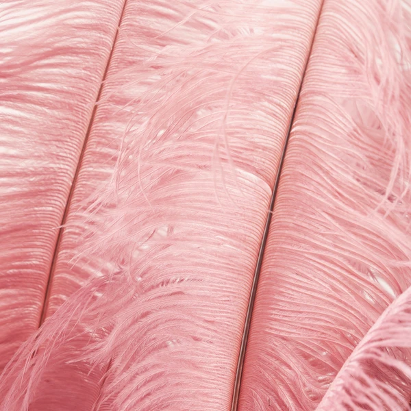 Ostrich Spray - Set Of 3 10 Ostrich Spray - Set Of 3 - Image 8